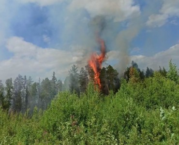 Прокуратура: власти в ХМАО не готовы к предотвращению лесных пожаров