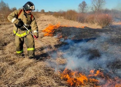 Дым от лесных пожаров в Тюменской и Омской областях дошел до Югры