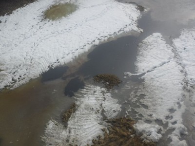 Природнадзор Югры заподозрил «дочку» «Лукойла» в сокрытии разлива нефти из-за которого была загрязнена река