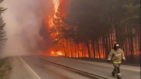 Лесные пожары в Тюменской области привлекли внимание генеральной прокуратуры