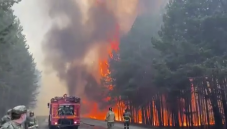 Глава Рослесхоза публично признал, что губернатор Моор поздно ввел режим ЧС из-за лесных пожаров