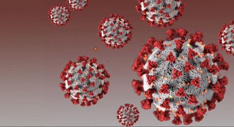 В России выявили новый, бразильский, штамм коронавируса