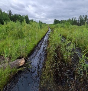 Власти ХМАО изменили подход к взысканию экологических штрафов с нефтяных компаний на фоне санкций и волатильности цен