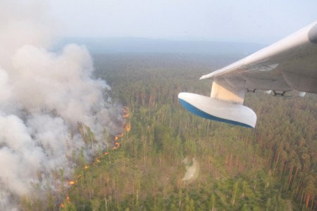 Дым от лесных пожаров в Якутии дошел до ЯНАО
