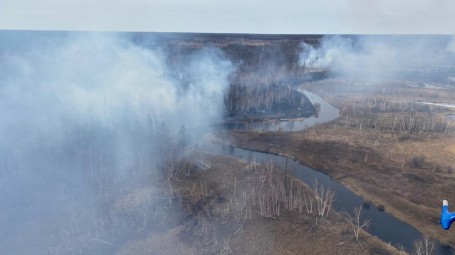 Дым от лесных пожаров в Якутии добрался до городов ХМАО: Сургута, Лангепаса и Нефтеюганска