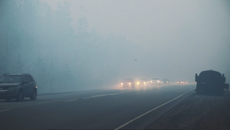 В Курганской области из-за масштабных лесных пожаров ввели режим ЧС
