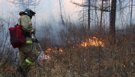 В ХМАО на окраине национального поселка уже неделю бушует лесной пожар