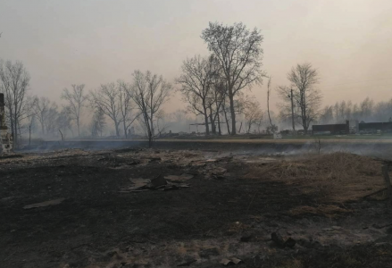 В тюменском селе Бачелино могло сгореть до 20 жилых домов, официально власти заявляют лишь о двух