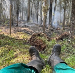 Из-за лесных пожаров в двух районах ХМАО введен особый противопожарный режим