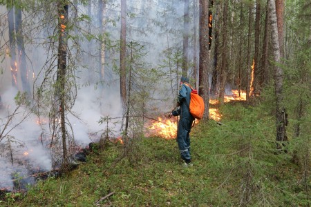 В ХМАО тушат ландшафтные пожары в двух районах