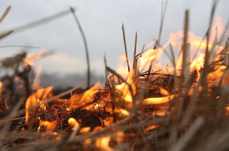 Губернатор ХМАО Комарова ввела в регионе особый противопожарный режим, но леса посещать пока не запретила