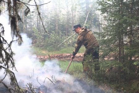 В ХМАО впервые за месяц уменьшилась площадь действующих лесных пожаров