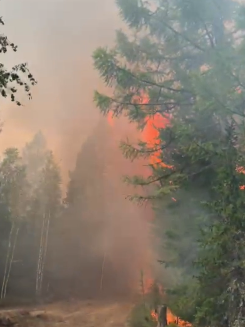 Югра стала самым горящим регионом России: за сутки площадь пожаров увеличилась на 26 тыс. га