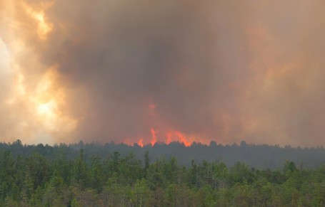 Жители Сургута снова пожаловались на смог из-за лесных пожаров