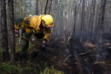 Рослесхоз поручил властям ХМАО нарастить силы для тушения пожаров на границе с Ямалом