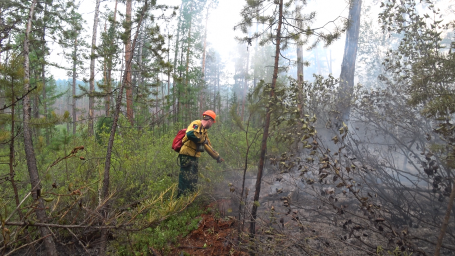 Рослесхоз потребовал от властей ХМАО представить план новых мер для стабилизации лесопожарной обстановки