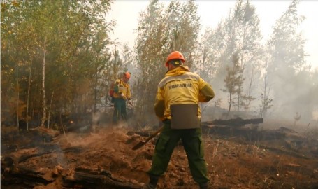 Рослесхоз поручил властям ХМАО нарастить силы для ликвидации вспышки «грозовых» пожаров