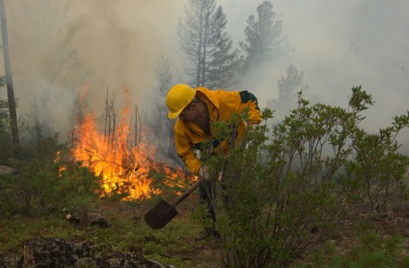 В природном заповеднике «Малая Сосьва» в ХМАО снова полыхает лесной пожар