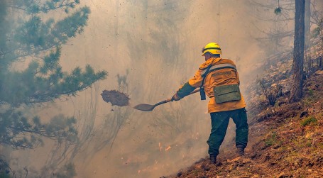 Площадь лесных пожаров в ХМАО стремительно растет: огнем охвачено уже 112 тыс. га леса
