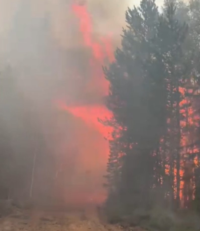 Югра вышла на второе место по площади действующих в России лесных пожаров