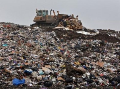 Губернатор ХМАО Комарова отдала 40 гектаров леса под межмуниципальный мусорный полигон