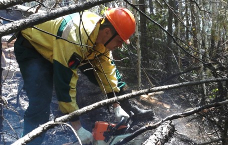 Лесные пожары вернулись на Ямал