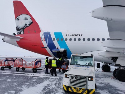 Куропатка повредила самолет авиакомпании «Ямал»