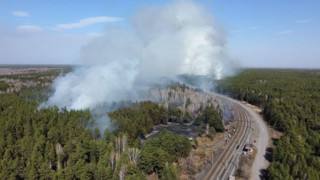 Губернатор Курганской области Шумков запросил срочную помощь у министра МЧС из-за лесных пожаров