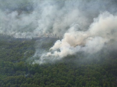 В ХМАО, где за сутки площадь лесных пожаров увеличилась в два раза, снова горит природный заповедник