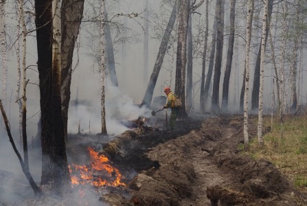 Губернатор ХМАО Комарова скрыла плановый показатель по ликвидации пожаров в первые сутки