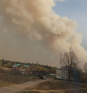 В Тюменском районе, где введен режим ЧС, лесной пожар снова идет на поселок Успенка. Началась эвакуация жителей