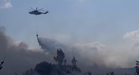 В ХМАО снова горит лес на территории охраняемых заповедников