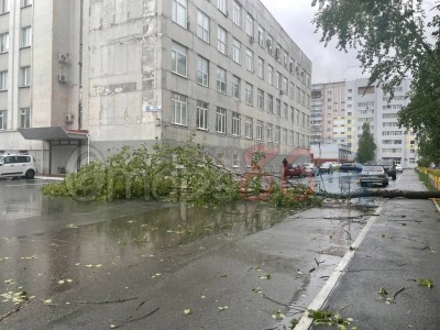 Несколько районов Сургута остались без электричества из-за непогоды