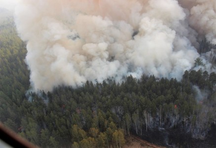 Площадь лесных пожаров в ХМАО за сутки увеличилась в три раза