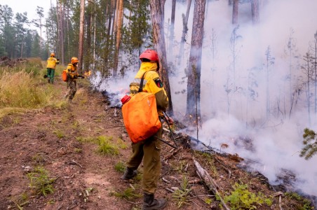 Ямал третьи сутки подряд входит в топ-5 регионов по площади действующих лесных пожаров