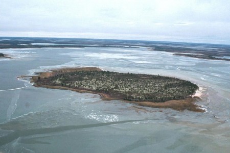 Власти РФ надеются найти в районах ХМАО, которые хотят включить в Арктическую зону, новые месторождения