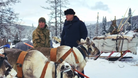 Губернатор ХМАО Кухарук про оленеводство: «Давайте будем честны — это никакой не бизнес»