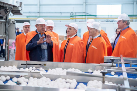 Власти Тюменской области скрыли название птицефабрики, где уничтожат кур после вспышки птичьего гриппа