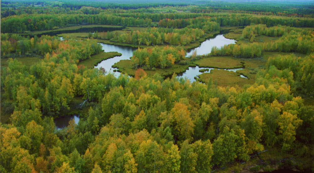 Власти ХМАО незаконно возложили на заповедник «Малая Сосьва» обязанность по тушению пожаров
