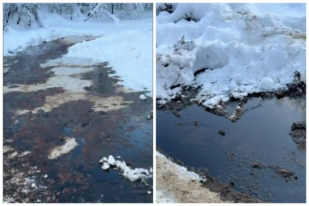 Глава СКР Бастрыкин поручил проверить разлив нефти на реке, впадающей в Обь