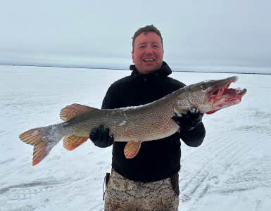 Депутат думы Сургута Болотов впервые намерен побороться за мандат в окружном парламенте